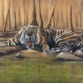 Nadin Sergeenkova – “Living Water / Sumatran Tiger on the Edge” – nosergeenkova@gmail.com