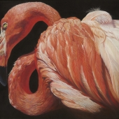 Jill Corless – “Pretty in Pinks” – http://jillcorlessfineartgallery.com/