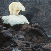 Stephane Savard - “Where is the Ice?” – stephane@impressionpresco.com