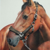 Susan Brinkmann - “Dutch Pride” – http://www.susanbrinkmann.nl/