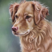 Susan Monty - “Portrait of Sketch” – http://www.susanmonty.com/