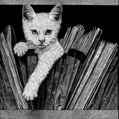 Lynn Kibbe - “The Kitten Files” – https://lynnkibbefineart.weebly.com/