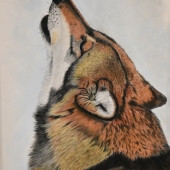 Avery Anderson - “Wolf Song” – http://www.averyandersonanimalart.com/