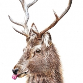 Laura Milewski - “Jester Prince” – lauramilewski@web.de