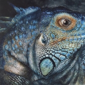 Liqian Zhu - “Lizard” – 66543755@qq.com