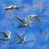 Marek Krumpár - “Flying Swans” – http://www.marekkrumpar.com/