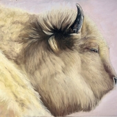 Lewis Isaac Testa - “Sacred White Buffalo” – http://artfeedshunger.com/