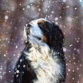 Yao Xiao - “Fearless” – 287366069@qq.com