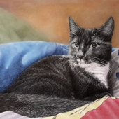 Ivan Jones - “Loki Relaxing” – https://www.ivanjonesart.co.uk/