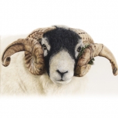 Bonny Snowdon - “Swaledale Ram” – http://www.bonnysnowdonfineart.co.uk/