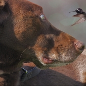 Joe Pate – “A Real Eye Opener” – http://www.jop8.art