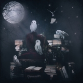 Julie Powell - “Midnight Agenda” – https://www.juliepowellphoto.com/