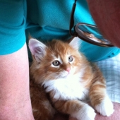 Garret Demarest - “Bonding” – http://www.innervigorations.com/