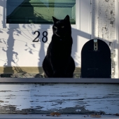 Margaret Flaherty - “The Front Porch” – mflahert5@massasoit.edu