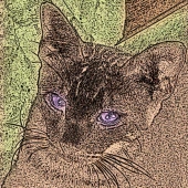 Michael J Duke - “I wish I was a Tiger” – http://www.mjduke.co.uk/