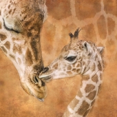 Helen Akerstrom - “Kiss” – https://www.facebook.com/helen.akerstrom