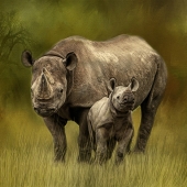 Helen Akerstrom - “Protect” – https://www.facebook.com/helen.akerstrom