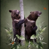 Lou Ann Goodrich - “Sibling Rivalry” – http://louanngoodrich-photoartist.com/