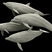 Bill Wieger – “Dolphin Pod” – http://www.billwieger.com/