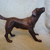 Michael Bocci - “Labrador” – http://michaelbocci.com/