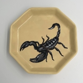 Amaal Yazdi – “Scorpion Dish” – Amaalzdi123@gmail.com