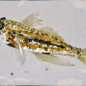 Sarah Schneiderman - “Pallid Goby” – http://sarahschneiderman.com/