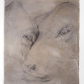 Linnea Ryshke - “Cleaved” – http://www.reembodimentproject.com/