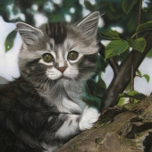 Sabine Lackner - “In the Trees” – http://www.sabinelacknerfineart.com/