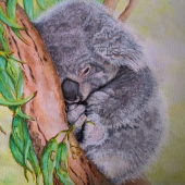 Wendy Welk - “Inspired by the Fires” – wendy.welk@gmail.com