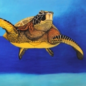 Don White - “Sea Turtle Freedom” – http://fineartdonwhite.com/