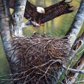 Wayne Chunat - “On the Tusc” – www.artistsforconservation/wayne-chunat