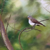 Pishuang-Hsiao - “Spring is coming” – bernadethsiao@gmail.com