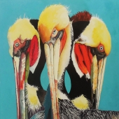 Barbara Handler - “California Brown Pelicans” – http://www.barbarahandler.com/