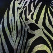 Walter Poole - “Zebra” – http://www.walterpoole.net/