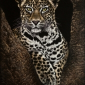 Amy Stauffer - “Montlenyane” – http://www.amystauffer.com/