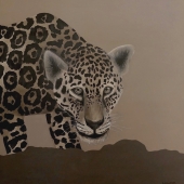 Tommy Minor - “Harry” – http://tommyminorart.com/