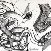 Aerial Lange - “Snake Coils” – http://www.aerialsartistry.com/