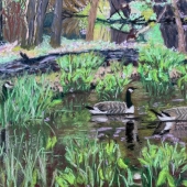 Susan Knasko - “Spring Cruising” – scknasko@gmail.com