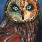 Denise Westcott - “Owl Blue Eyes” – http://westcottwatercolors.com/