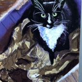 Patricia Jacobs - “Pico in His Box” – patriciaoswan@gmail.com