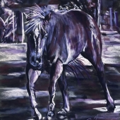 Janet Johnson - “Vision in Violet” – http://www.jtjohnsonpastels.com/