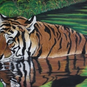 Floris Eugene Betrouw - “Courage the Tiger” – floris.betrouw@hotmail.com