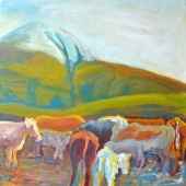 Orla Clancy - “Aherlow Cows in Low Winter Sun” – orla99913@gmail.com