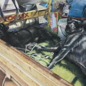 Victoria Kitanov - “Outback Dogs: Portrait of Sam & Jessie” – https://www.victoriakitanovfineart.com.au/