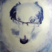 Melissa Neemann - “Professor Pooch” – https://www.facebook.com/MissysMenagerie