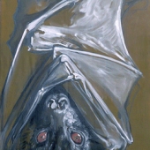 Olivier Company - “Blind Wild” – http://www.olivier-company.com/