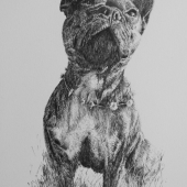 Ian Hedley - “Biggie Flower Power” – http://hedley.org.uk/