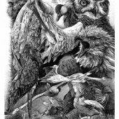 Zhenhuang Huang - “African Birds of Camouflage” – oubioubi@163.com