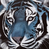 Mark Andreason - “Tiger Blue” – http://www.baddkarma.net/