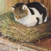 Tammy Cox - “Nesting Catbird” – http://tammycoxfineart.com/
